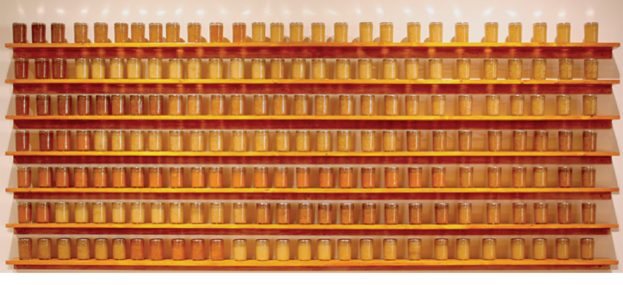 many jars of shades of orange jam on walls